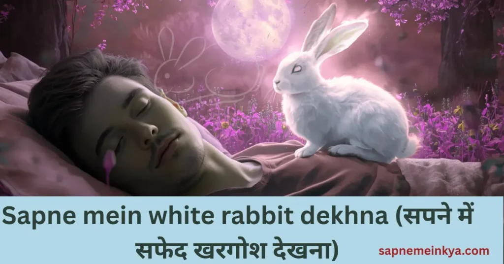 Sapne mein white rabbit dekhna (सपने में सफेद खरगोश देखना)